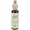 Flores Bach Impatiens Impaciencia 20Ml.