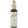 Flores De Bach (19) Larch 20 Ml