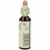 Flores De Bach (19) Larch 20 Ml