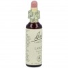 Flores De Bach (19) Larch 20 Ml