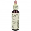 Flores De Bach (20) Mimulus 20 Ml