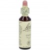 Flores De Bach (23) Olive 20 Ml