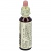 Flores Bach Rock Rose Heliantemo 20Ml.