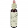 Flores Bach Rock Rose Heliantemo 20Ml.