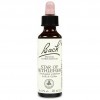 Flores Bach Star Of Bethlehem Leche Gallina 20Ml.
