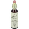 Flores Bach Sweet Chestnut Castaño Dulce 20Ml.
