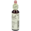 Flores Bach Sweet Chestnut Castaño Dulce 20Ml.