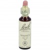 Flores De Bach (33) Walnut-Nogal 20 Ml