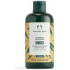 Ginger Champú 250 Ml