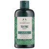 Tea Tree Champú 250 Ml