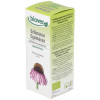Ext. Echinacea Purpurea (Echinacea) 50Ml.