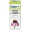 Ext. Echinacea Purpurea (Echinacea) 50Ml.