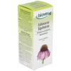 Ext. Echinacea Purpurea (Echinacea) 50Ml.