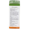 Physalis Esencia Menta Piperita 30Ml