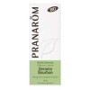 Pranarôm Aceite Esencial De Geranio Bourbon Bio 10Ml