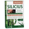 Silicius Organico 30Cap.