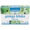 Dietmed Ginkgo Biloba Forte 1500Mg 20 Ampollas