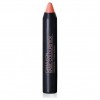 Camaleon Barra De Labios Colourstick Nº 5 (Nude) 4G