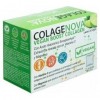 Colagenova Vegan Boost Té Verde Limón 21 Sobres