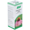 Echinaforce 50Ml.