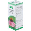 Echinaforce 50Ml.