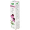 Crema Echinacea 35Gr.