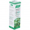 A. Vogel Sinuforce Spray Nasal 20Ml