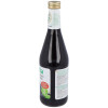 Jugo Nectar De Mirtilo (Arandano Azul) 500Ml.