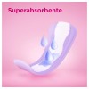 Protectores Ausonia - Protege Slip (Normal 40 U)