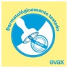 Compresas Higienicas Femeninas - Evax Fina Y Segura (Maxi 13 Compresas)