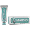 Anise Mint Toothpaste 25 Ml