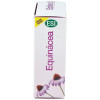 Echinaid Alta Potencia 60Cps