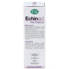 Echinaid Sin Alcohol 50 Ml.