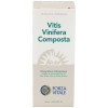 Vitis Vinifera Composta Extracto 50Ml.