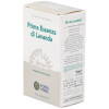 Primera Esencia Lavanda Complex 10Ml.