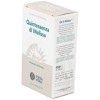 Quinta Esencia Melisa 10Ml.