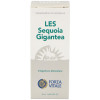 Les Sequoia Gigantea Secoya 50Ml.