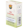 Herboplanet Qsa Lavanda Gotas 10Ml