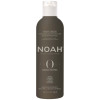 Noah Mascarilla Manteca Murumuru Y Grosella Negra 250Ml