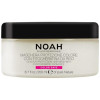 Noah Mascarilla Capilar Protector Color 200Ml
