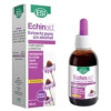 Echinaid Sin Alcohol 50 Ml.