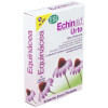 Echinaid Urto 30Cap.