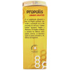 Propolis+Ecninacea Jarabe Adultos 200Ml. Gricar