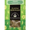 Menta Poleo El Naturalista (1 Envase 45 G)