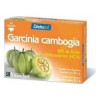 Ynsadiet Garcinia Cambogia 60Cáps
