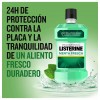 Listerine (1 Envase 500 Ml Sabor Menta Fresca)