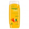 Te Verde Ginger Antiox Infusion 15Piramides.Eco