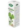 Phyto-Bipole Bio Ginkgo Biloba 50Ml.