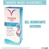 Vagisil Gel Hidratante Interno (6 Aplicadores 5 G)