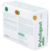Pylodigest Pylopass 60Comp.Mast.